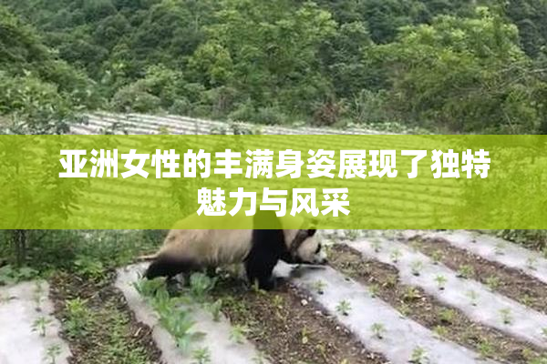亚洲女性的丰满身姿展现了独特魅力与风采