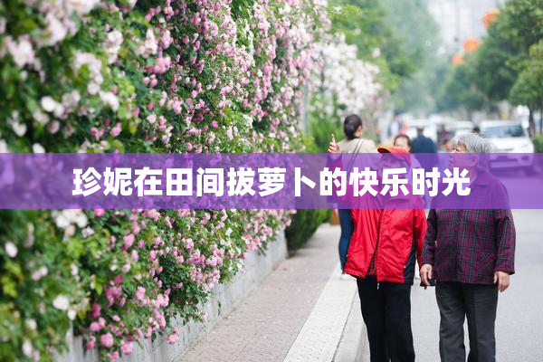 珍妮在田间拔萝卜的快乐时光