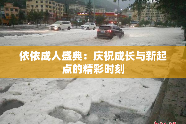 依依成人盛典：庆祝成长与新起点的精彩时刻