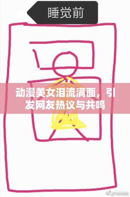动漫美女泪流满面，引发网友热议与共鸣