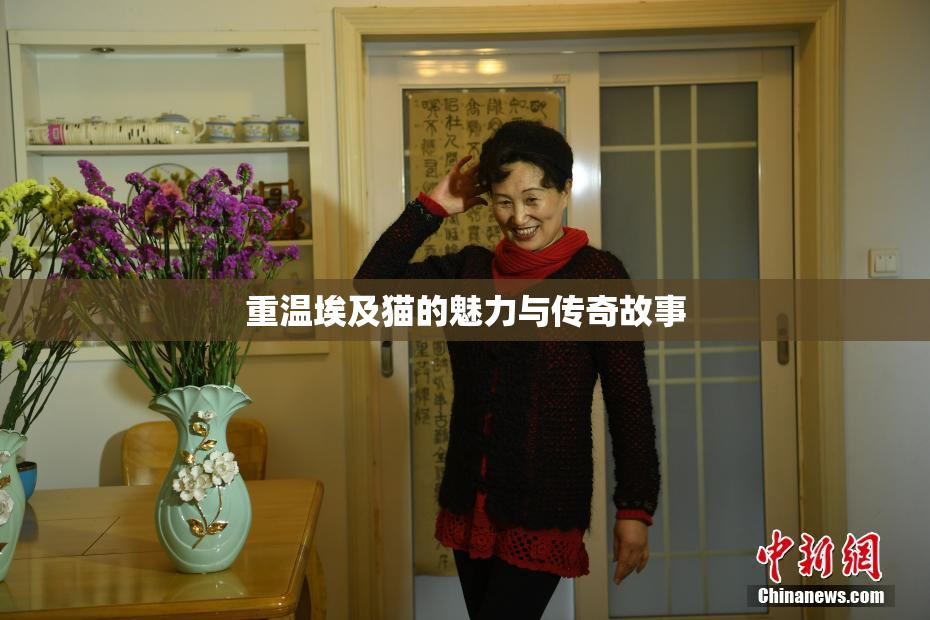 重温埃及猫的魅力与传奇故事