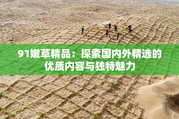 91嫩草精品：探索国内外精选的优质内容与独特魅力