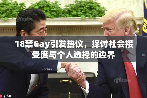 18禁Gay引发热议，探讨社会接受度与个人选择的边界