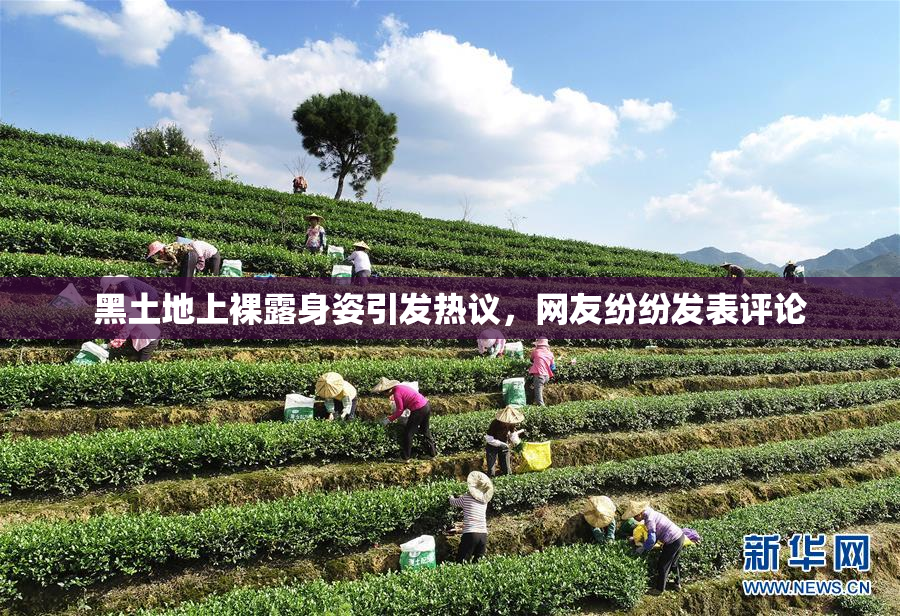 黑土地上裸露身姿引发热议，网友纷纷发表评论