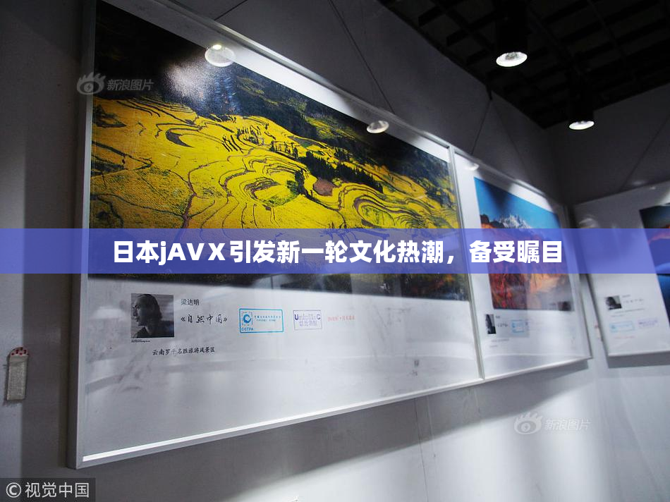 日本jA∨Ⅹ引发新一轮文化热潮，备受瞩目