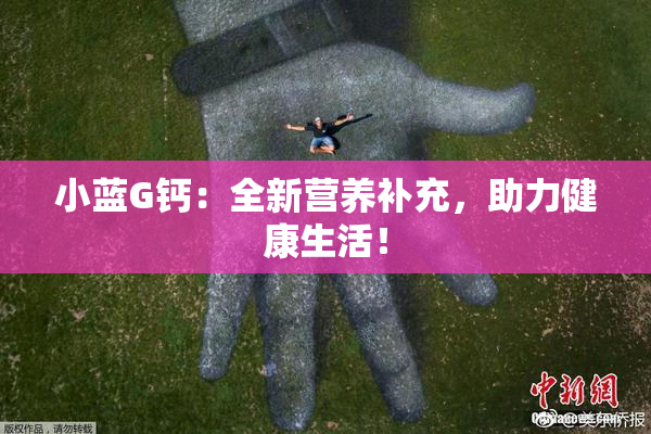 小蓝G钙：全新营养补充，助力健康生活！