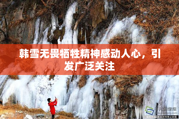 韩雪无畏牺牲精神感动人心，引发广泛关注