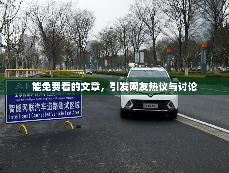 能免费看的文章，引发网友热议与讨论