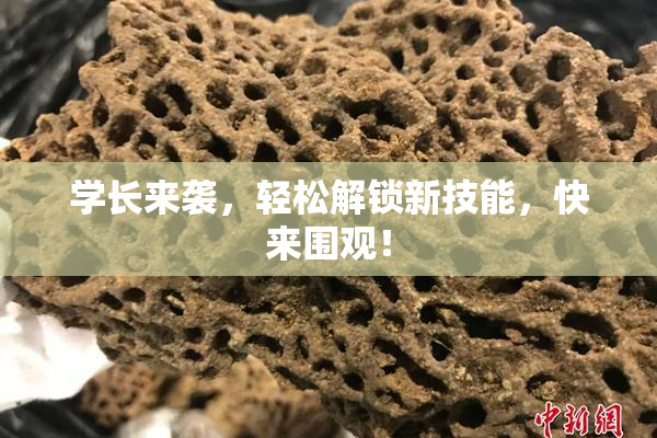 学长来袭，轻松解锁新技能，快来围观！