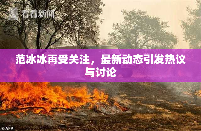 范冰冰再受关注，最新动态引发热议与讨论