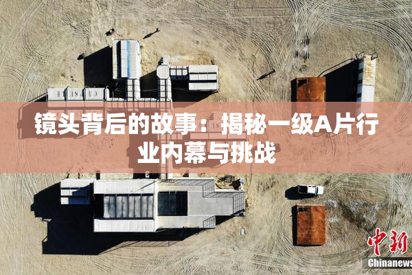 镜头背后的故事：揭秘一级A片行业内幕与挑战