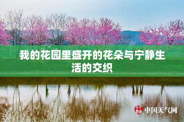 我的花园里盛开的花朵与宁静生活的交织