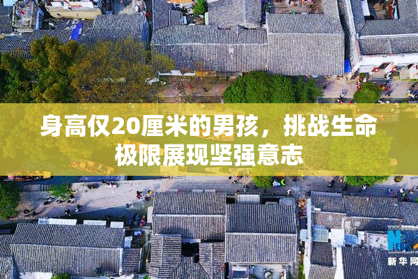 身高仅20厘米的男孩，挑战生命极限展现坚强意志