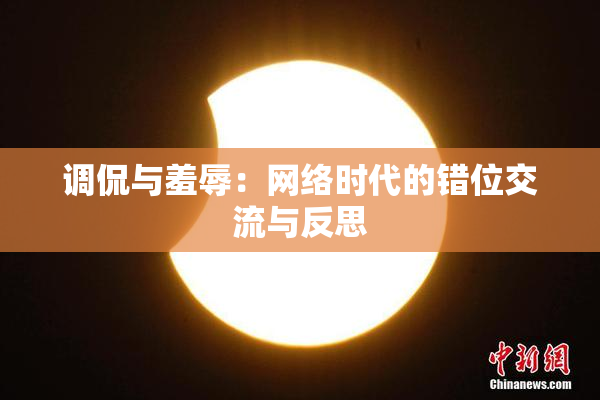调侃与羞辱：网络时代的错位交流与反思
