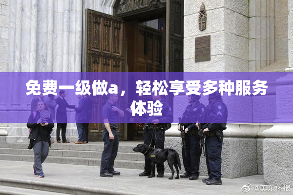 免费一级做a，轻松享受多种服务体验