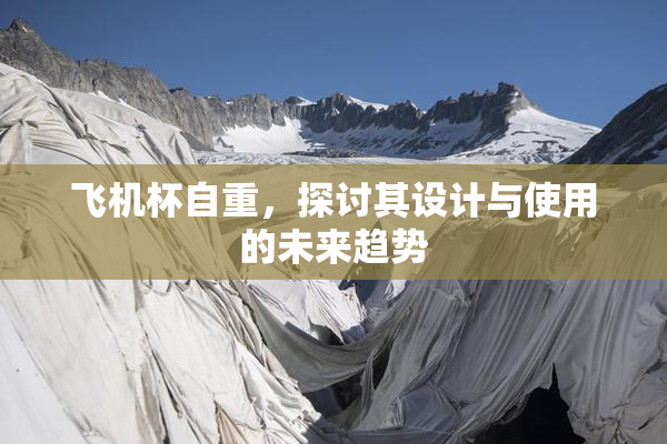 飞机杯自重，探讨其设计与使用的未来趋势