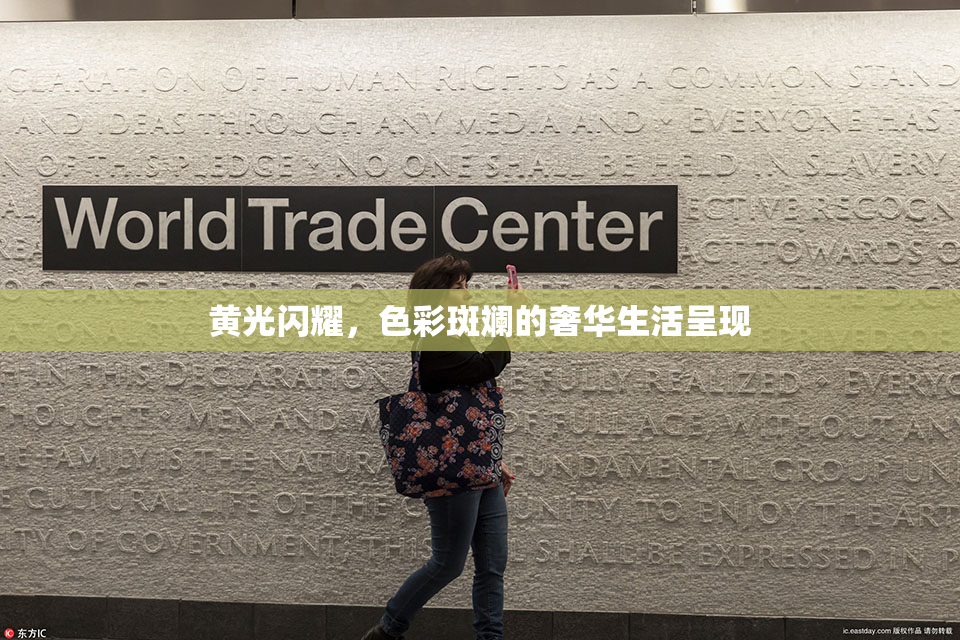 黄光闪耀，色彩斑斓的奢华生活呈现