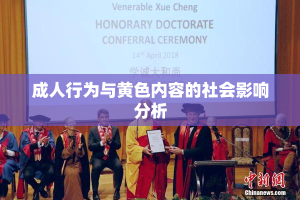 成人行为与黄色内容的社会影响分析