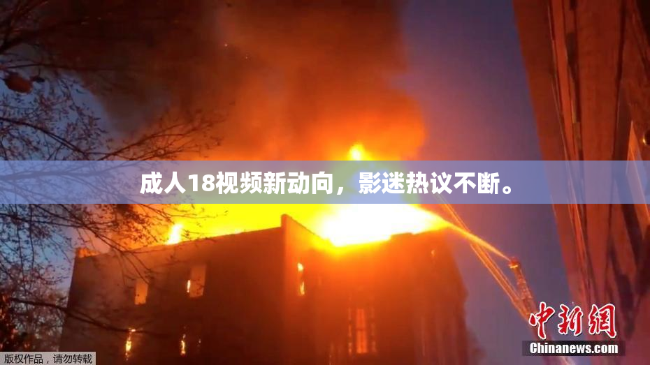 成人18视频新动向，影迷热议不断。