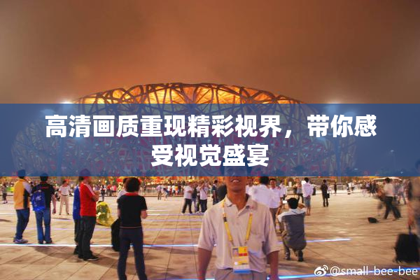 高清画质重现精彩视界，带你感受视觉盛宴