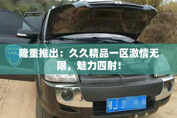 隆重推出：久久精品一区激情无限，魅力四射！