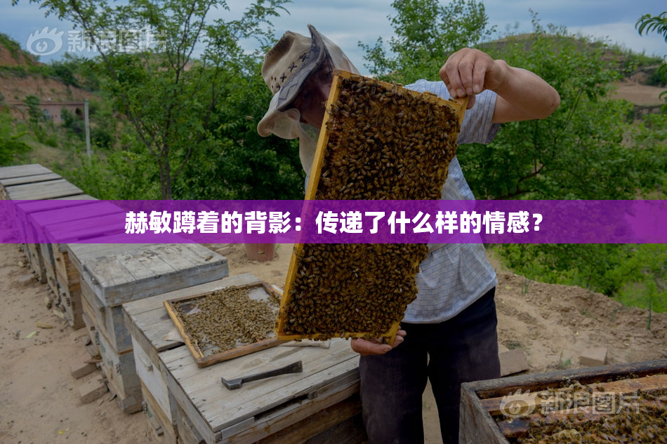 赫敏蹲着的背影：传递了什么样的情感？