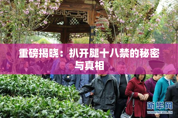 重磅揭晓：扒开腿十八禁的秘密与真相