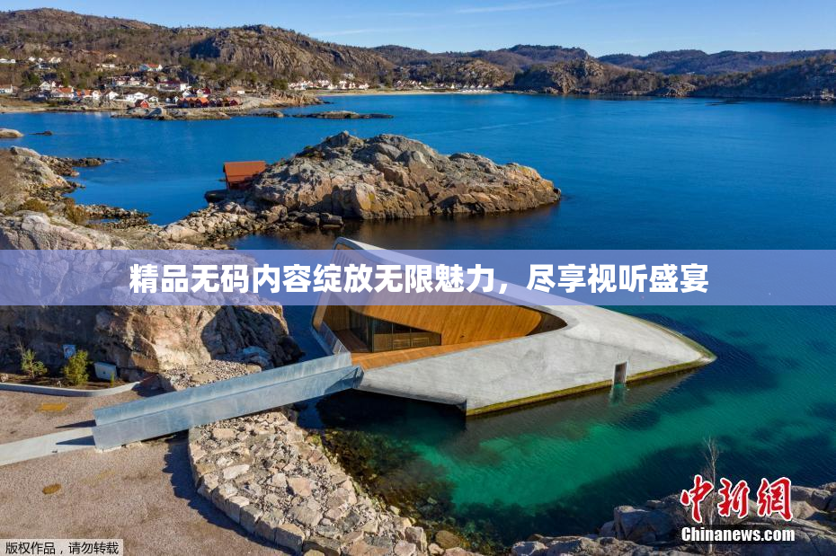 精品无码内容绽放无限魅力，尽享视听盛宴