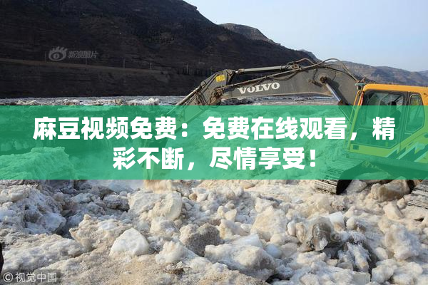 麻豆视频免费：免费在线观看，精彩不断，尽情享受！