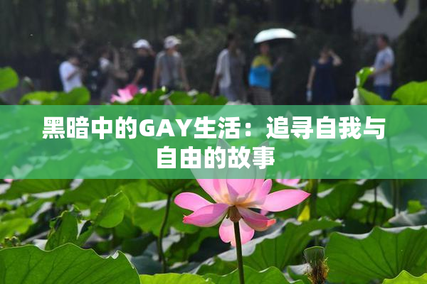 黑暗中的GAY生活：追寻自我与自由的故事