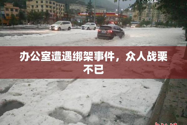 办公室遭遇绑架事件，众人战栗不已