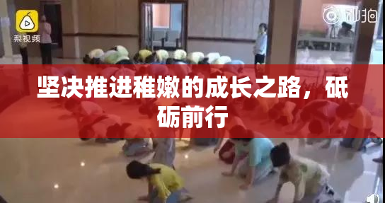 坚决推进稚嫩的成长之路，砥砺前行