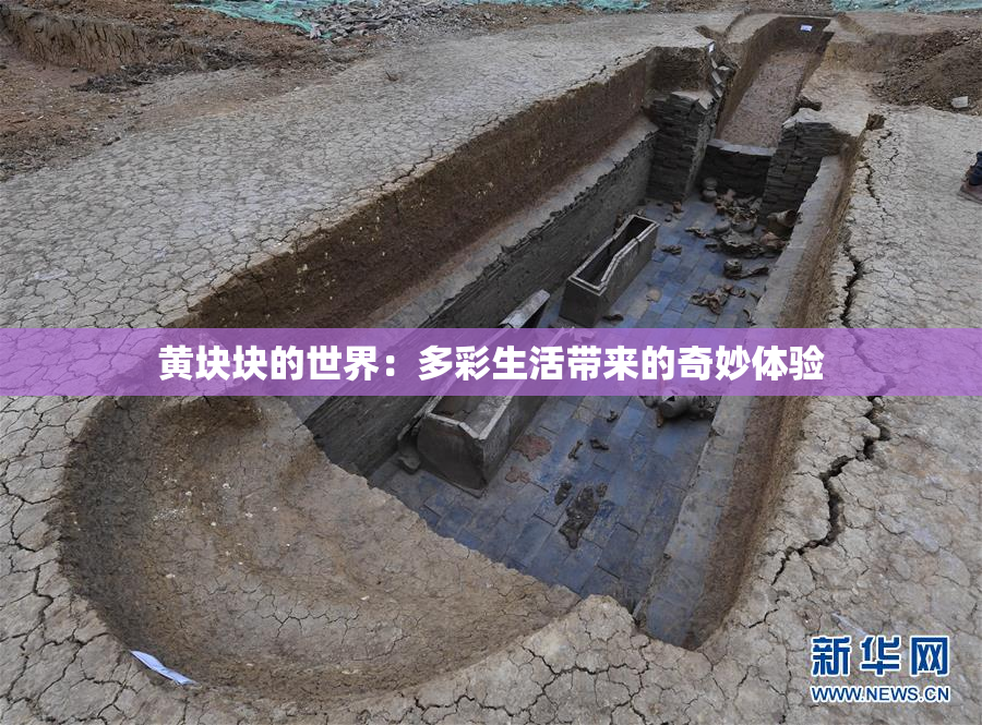 黄块块的世界：多彩生活带来的奇妙体验