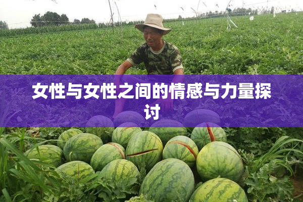 女性与女性之间的情感与力量探讨