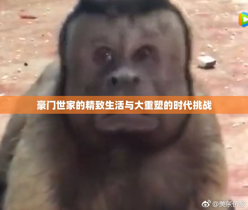豪门世家的精致生活与大重塑的时代挑战