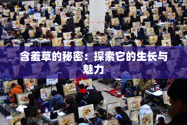 含羞草的秘密：探索它的生长与魅力