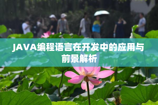 JAVA编程语言在开发中的应用与前景解析