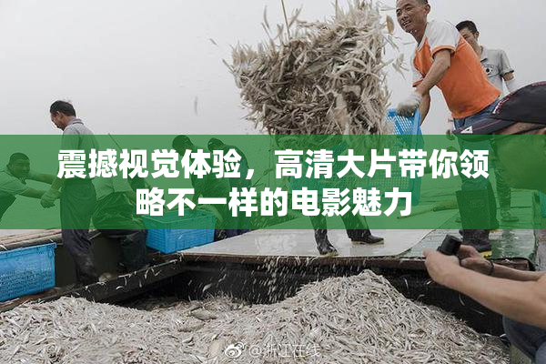 震撼视觉体验，高清大片带你领略不一样的电影魅力