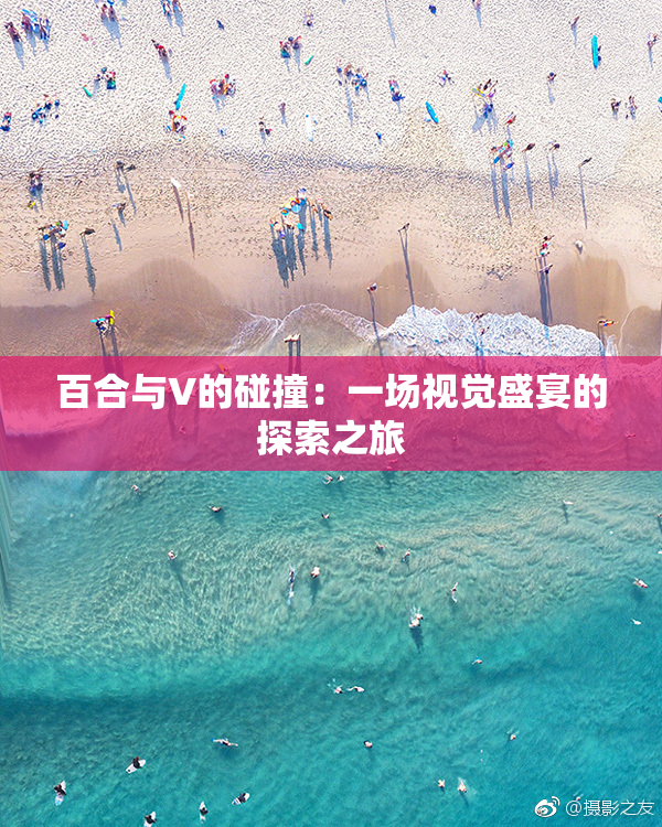 百合与V的碰撞：一场视觉盛宴的探索之旅