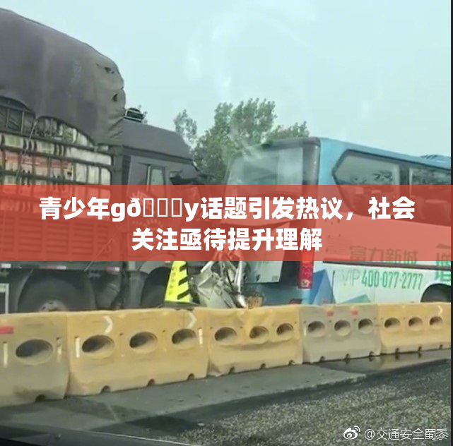青少年g🈚y话题引发热议，社会关注亟待提升理解