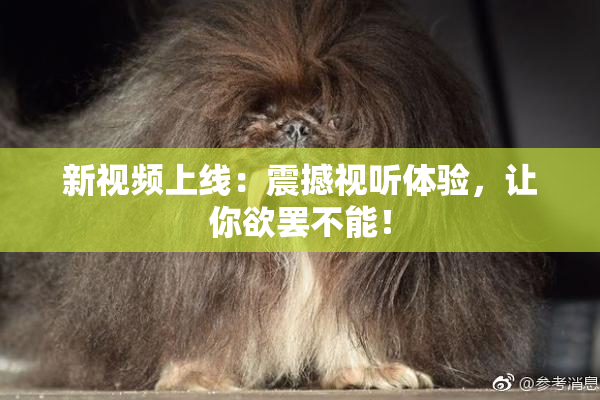 新视频上线：震撼视听体验，让你欲罢不能！