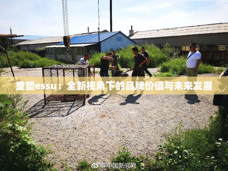 重塑essu：全新视角下的品牌价值与未来发展
