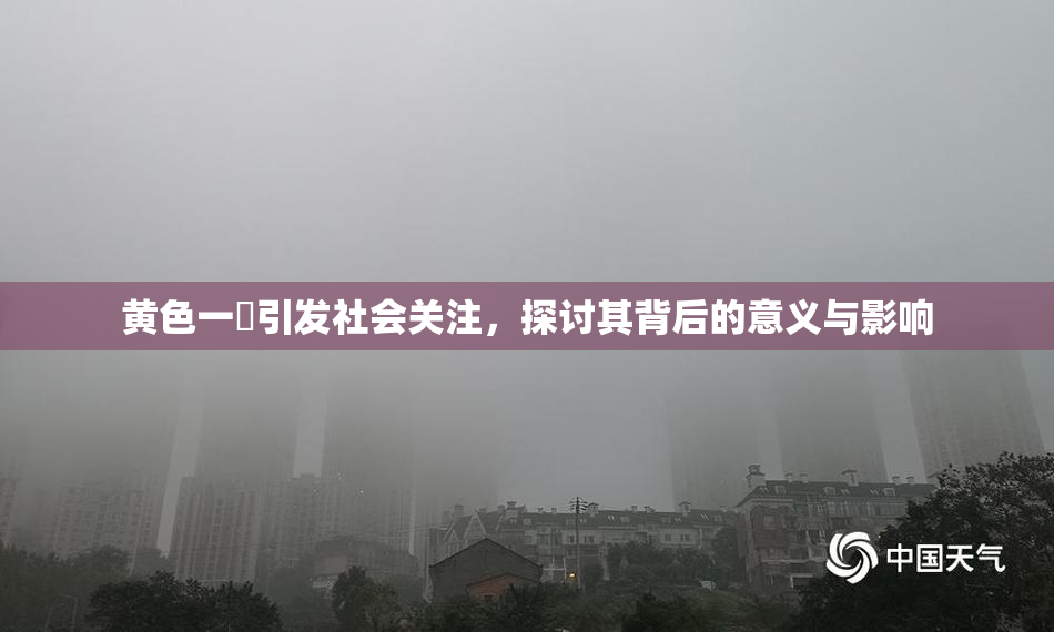 黄色一級引发社会关注，探讨其背后的意义与影响