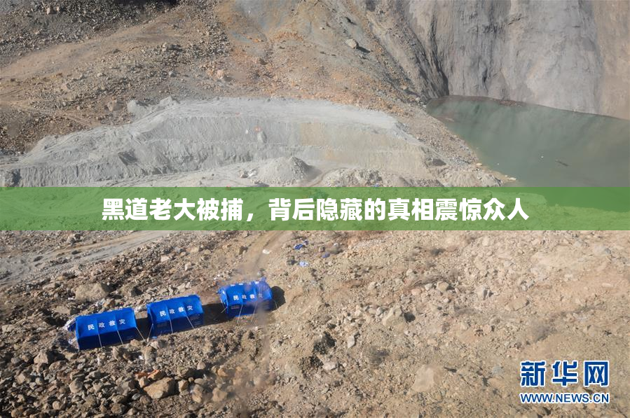 黑道老大被捕，背后隐藏的真相震惊众人