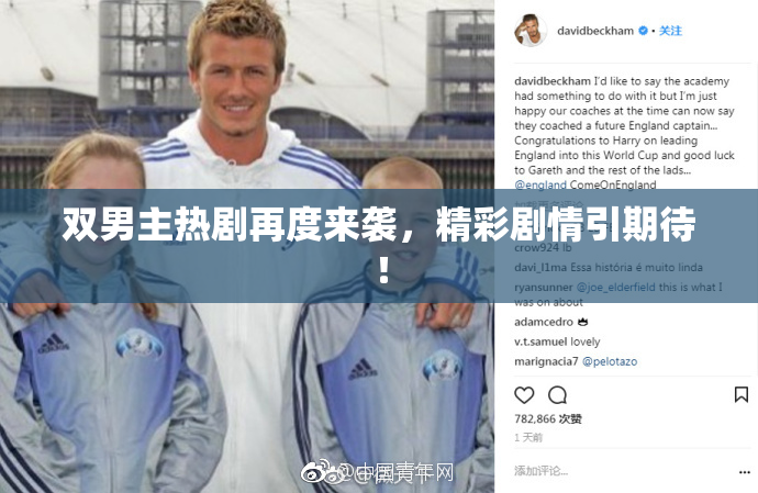 双男主热剧再度来袭，精彩剧情引期待！