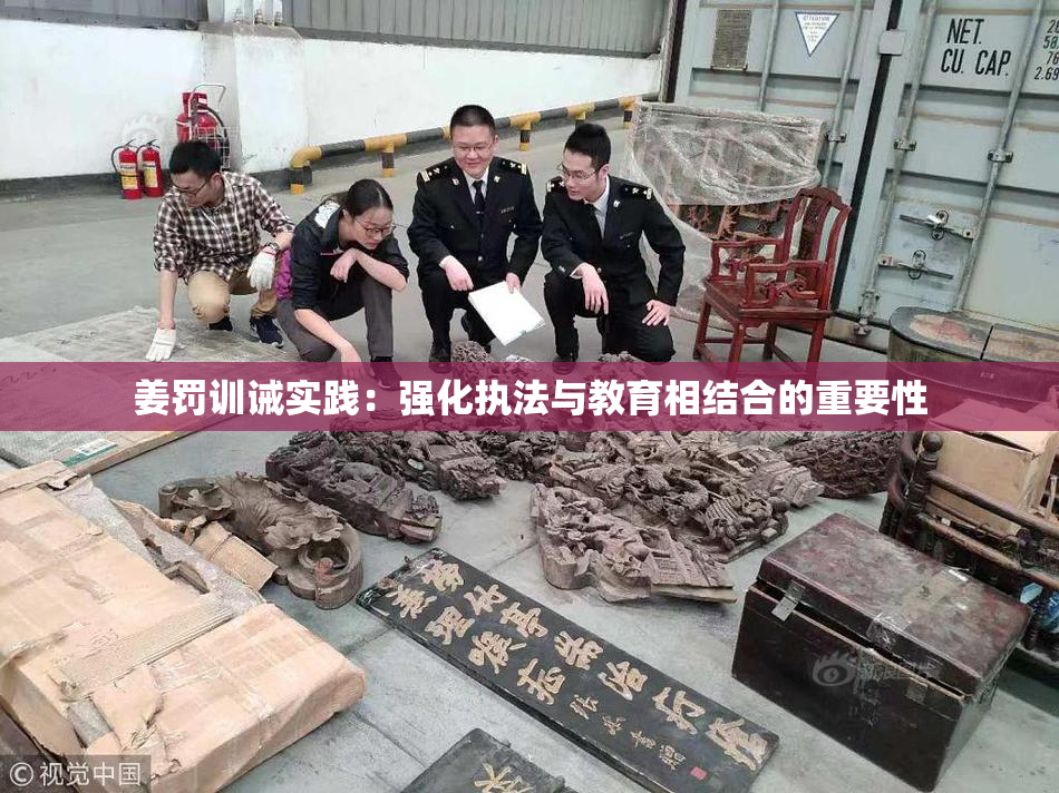 姜罚训诫实践：强化执法与教育相结合的重要性