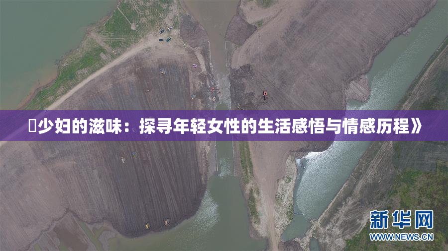 巜少妇的滋味：探寻年轻女性的生活感悟与情感历程》