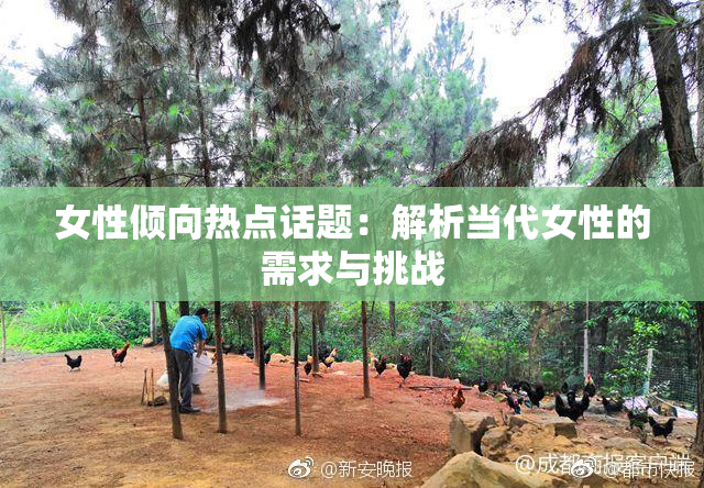 女性倾向热点话题：解析当代女性的需求与挑战