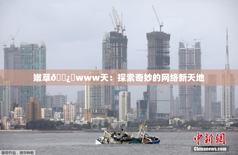 嫩草🌿‌www天：探索奇妙的网络新天地