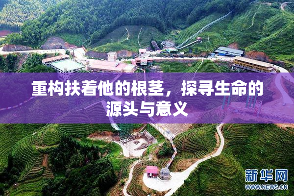 重构扶着他的根茎，探寻生命的源头与意义